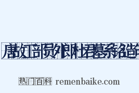 唐故工部员外郎杜君墓系铭造句是什么意思的图片